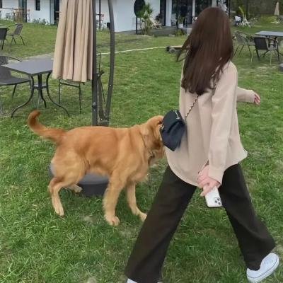 孕妇与狂徒